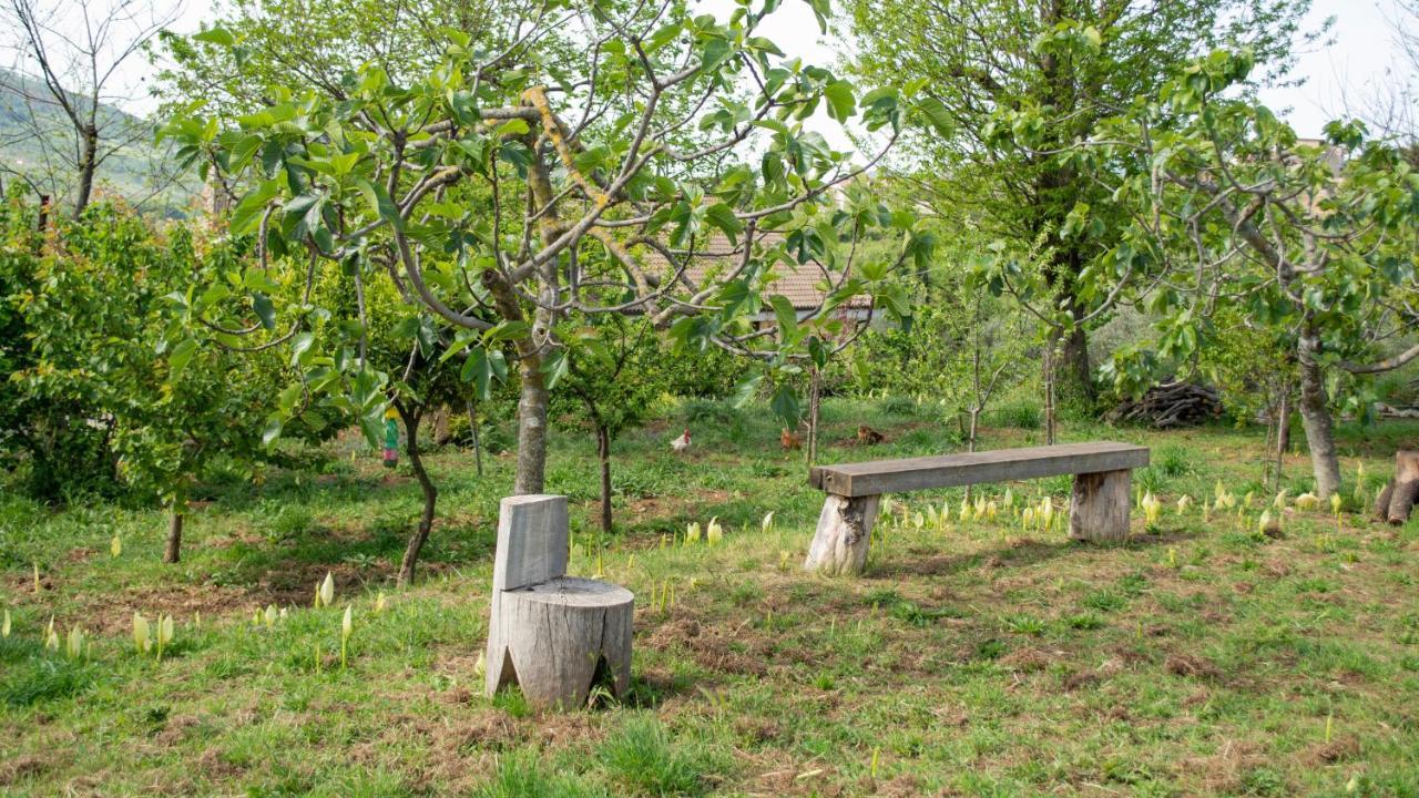 L'Arcadia Bed & Breakfast Giffoni Sei Casali Bagian luar foto
