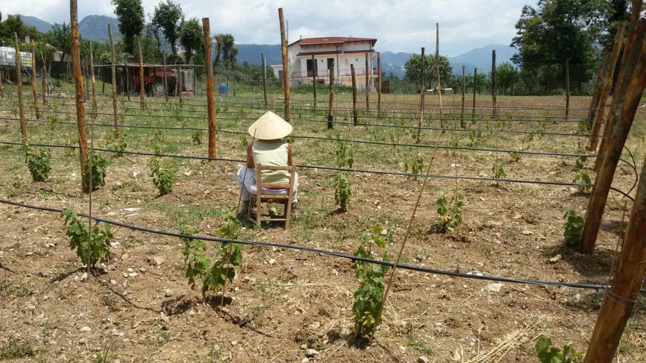 L'Arcadia Bed & Breakfast Giffoni Sei Casali Bagian luar foto